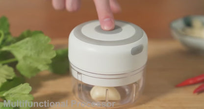 FlexorShop Electric Mini Garlic Chopper: Meat Grinder & Vegetable Crusher